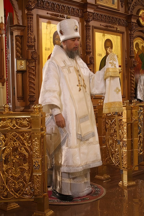 Епископ Николаевский Василий (Кулаков)